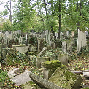 Währinger Friedhof 40