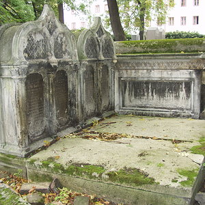 Währinger Friedhof 42