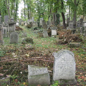 Währinger Friedhof 43
