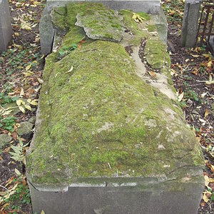 Währinger Friedhof 45