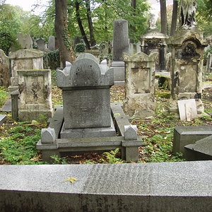 Währinger Friedhof 48