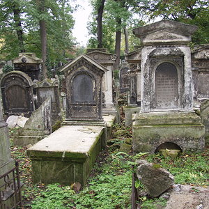 Währinger Friedhof 49