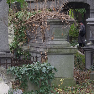 Währinger Friedhof 50