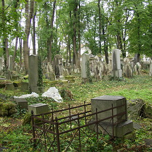 Währinger Friedhof 51