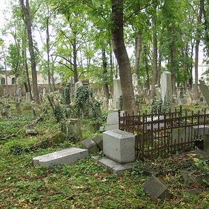 Währinger Friedhof 52