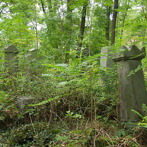 Währinger Friedhof 56