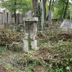 Währinger Friedhof 58
