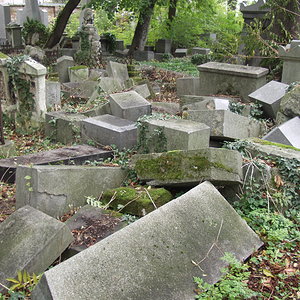 Währinger Friedhof 59