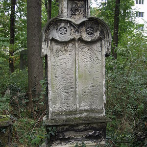 Währinger Friedhof 60
