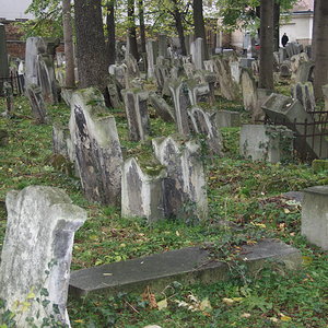 Währinger Friedhof 62