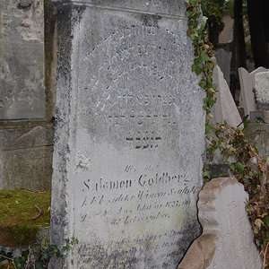 Goldberg Salomon