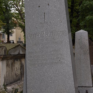 Mauthner Anna