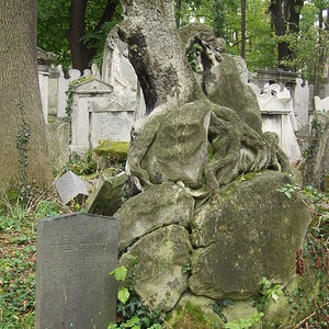 Währinger Friedhof 63