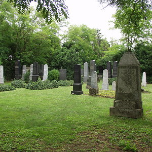 Friedhofsansicht Gänserndorf, INNEN