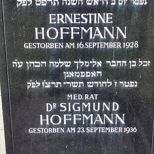 Hoffmann Sigmund Dr.