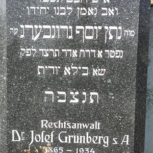 Grünberg Josef Dr.