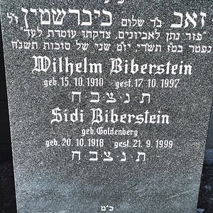 Biberstein Wilhelm