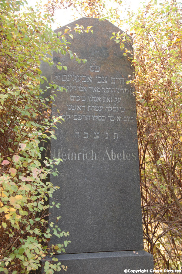 Abeles Heinrich