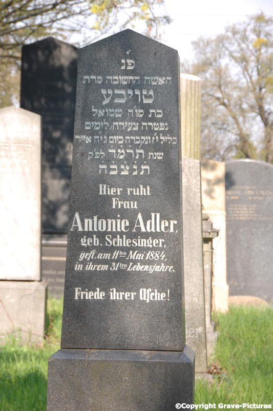 Adler Antonie