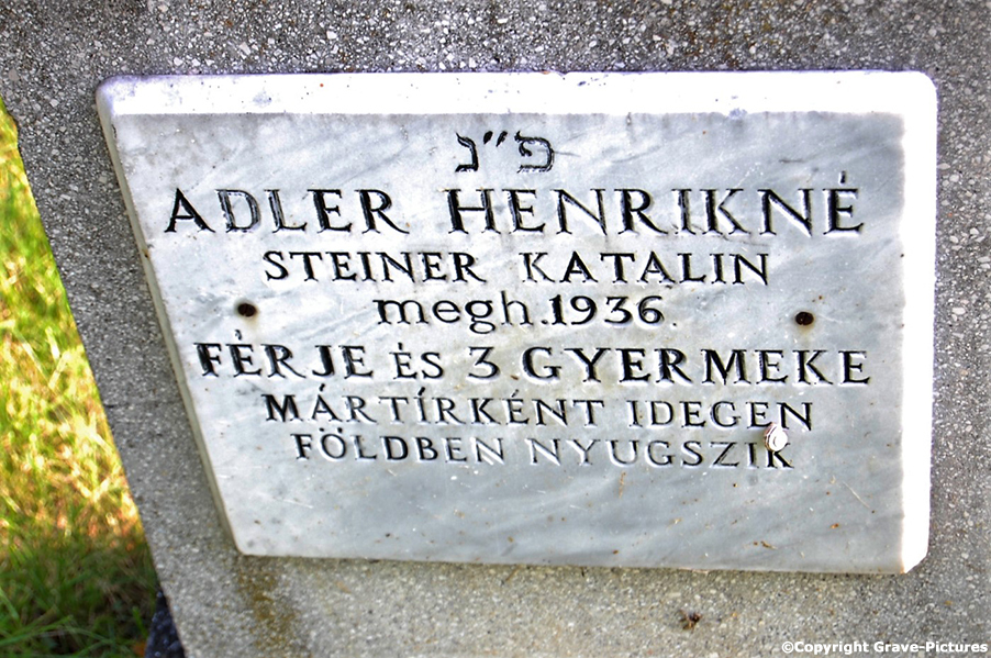 Adler Henrikne