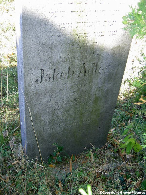 Adler Jakob