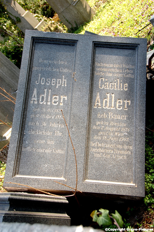 Adler Josef
