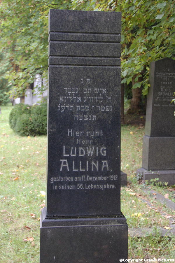 Allina Ludwig