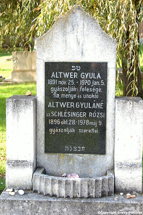 Altwer Gyula