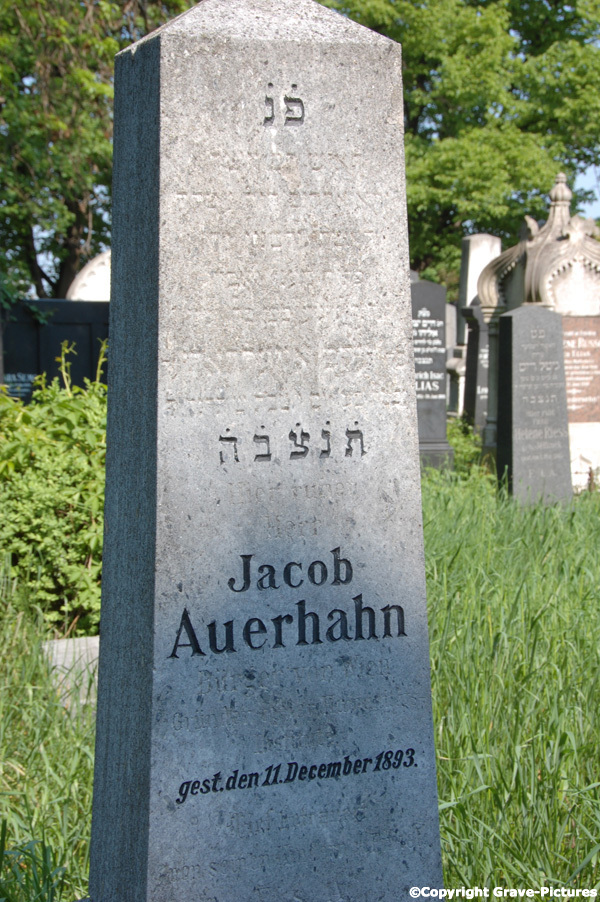 Auerhahn Jacob