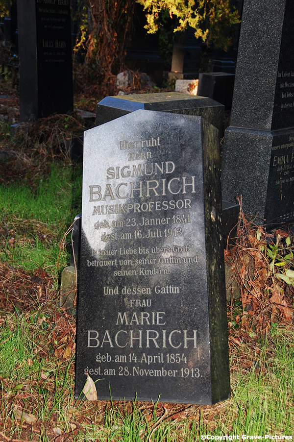 Bachrich Sigmund