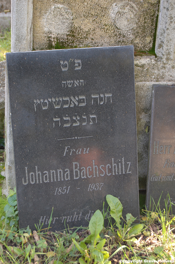 Bachschitz Johanna