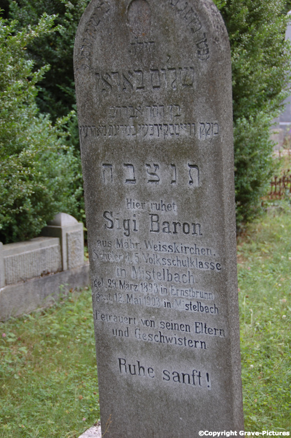 Baron Sigi