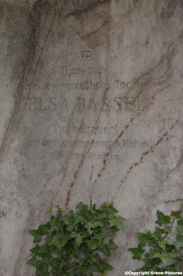 Bassel Elsa