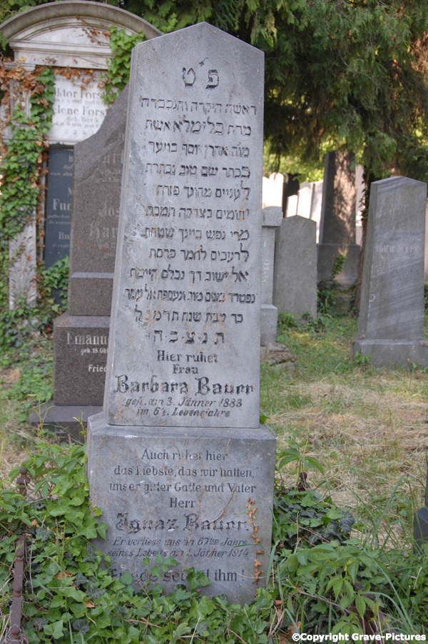 Bauer Barbara