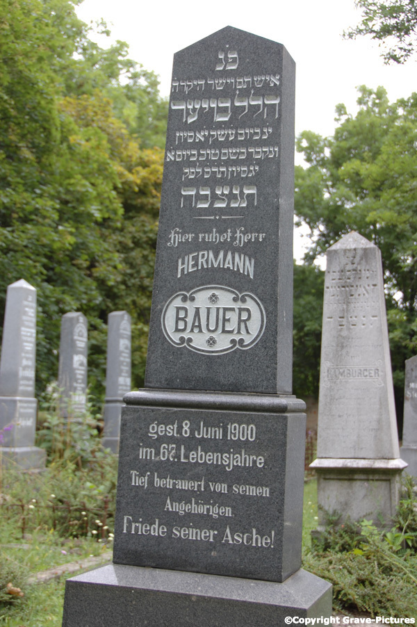 Bauer Hermann
