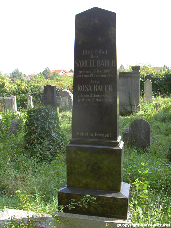 Bauer Rosa