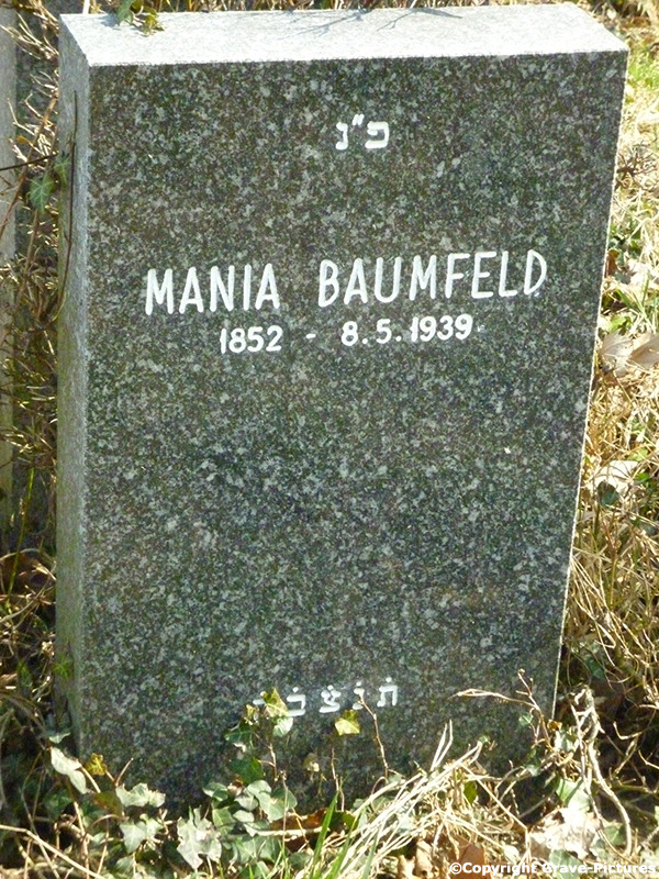 Baumfeld Mania Maria