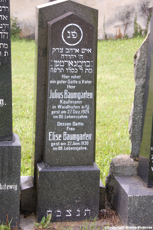 Baumgarten Elise