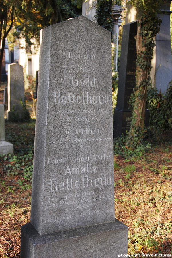 Bettelheim David