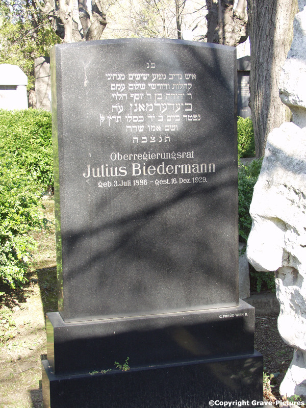 Biedermann Julius