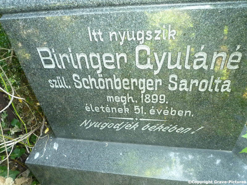 Biringer Gyulane