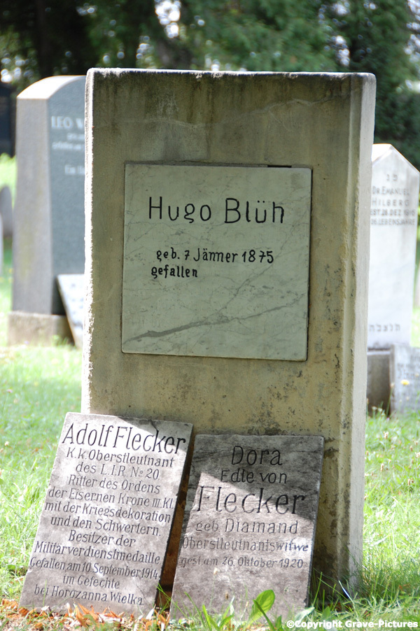 Blüh Hugo