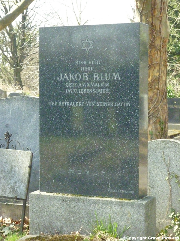 Blum Jakob