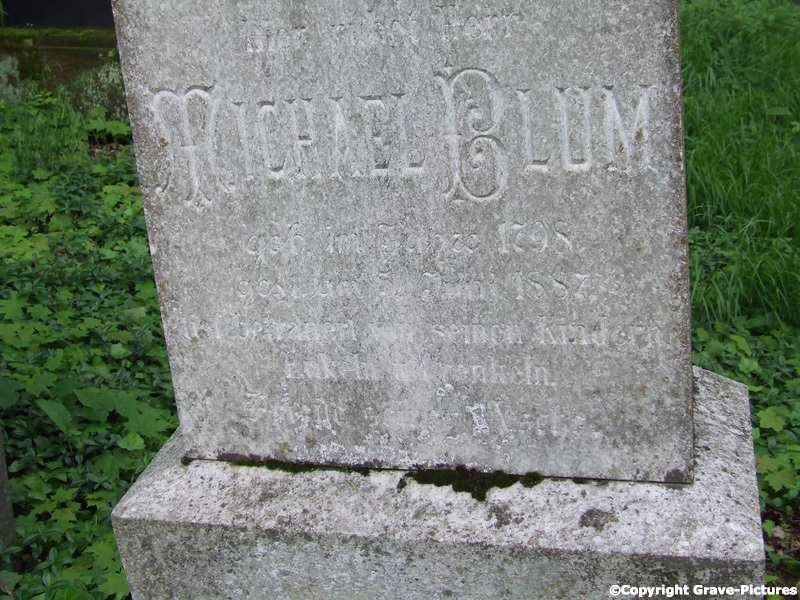 Blum Michael