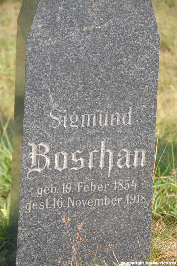 Boschan Sigmund
