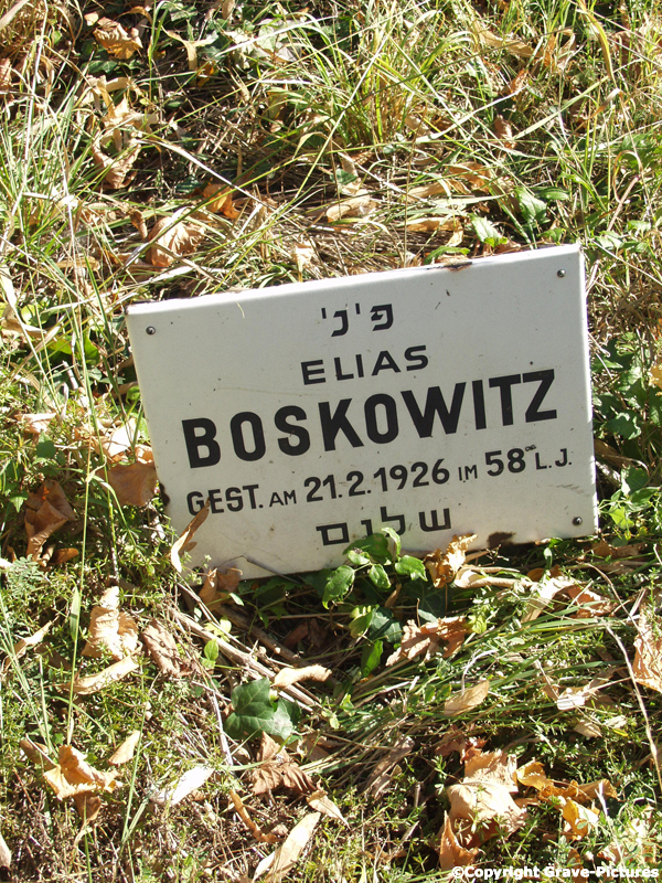Boskowitz Elias