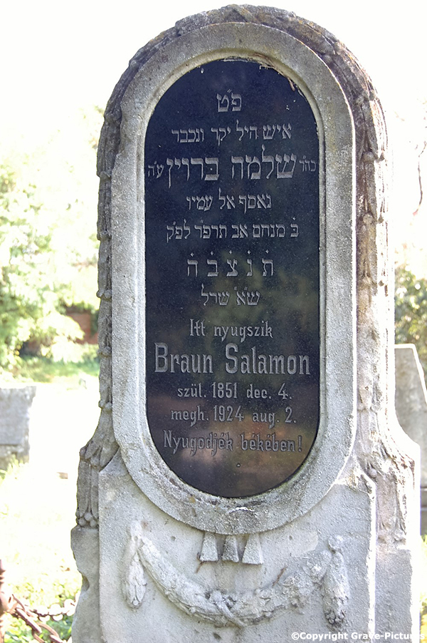 Braun Salamon