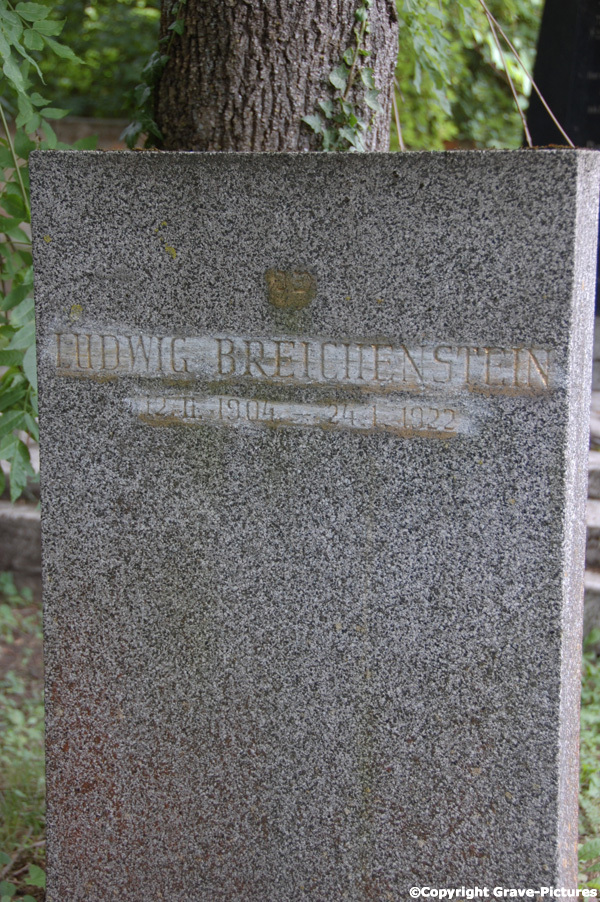 Breichenstein Ludwig