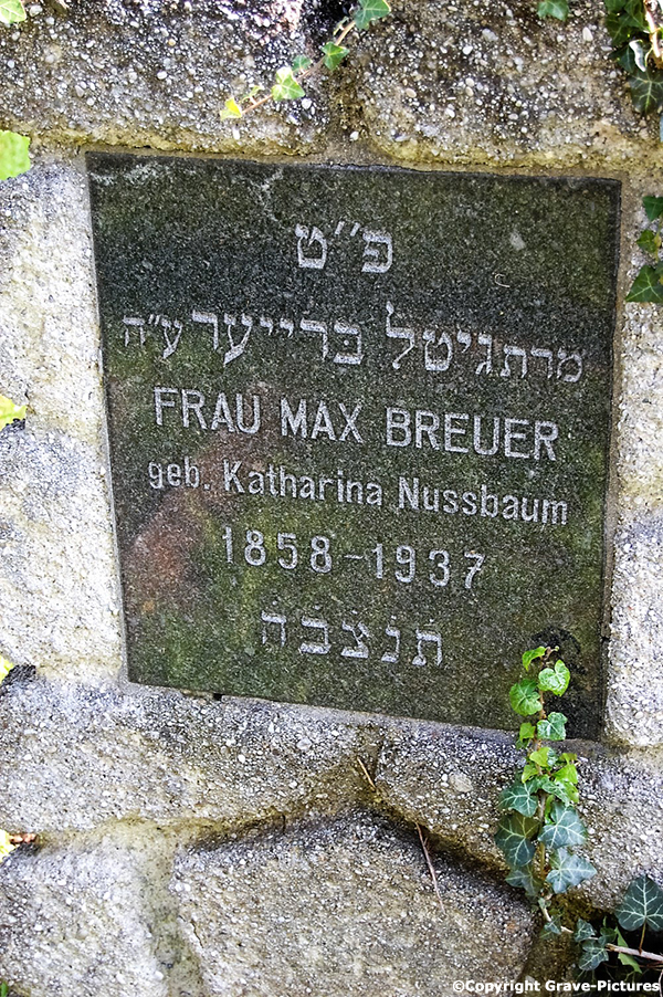 Breuer Max