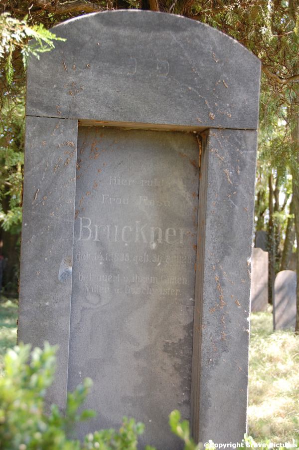 Bruckner Rosa